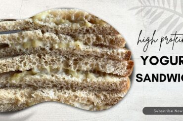High Protein Veg Sandwich for Breakfast, Yogurt Sandwich for Weight Loss