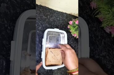 Tasty and healthy lunch box ideas #ytshorts #shorts #viral #trending #cooking