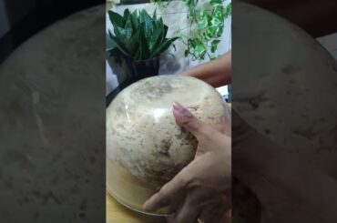 Eggless Whole Wheat Bread | 100% Wheat Bread | Wholegrain Bread | Brown Bread #shorts #youtubeshorts