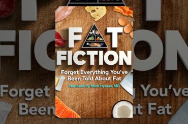Fat Fiction