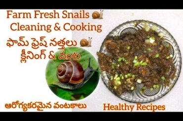 Snail Recipe | Nattu  Nattalu | Telugu | Snail cleaning and cooking | Healthy Recipes | Farm to Fork