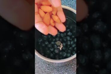 Simple Tasty Blueberry milkshake without sugar | healthy drink | Simple healthy recipes | Dr