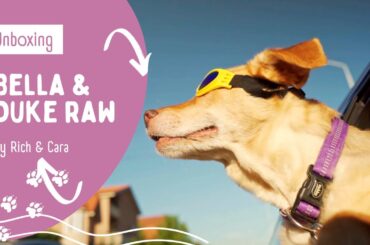 Unboxing Bella & Duke Raw Dog Food: Fresh and Healthy Meals for Your Pup!