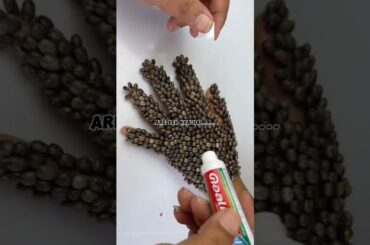 Yeh Ese Nahi Hatega! Yeh Boht Gambhir Mamla Hai | Mridul Madhok