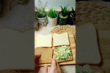 Healthy Chicken Egg Mayo Sandwich for Weight Loss #weightloss #youtubeshorts #ytshorts