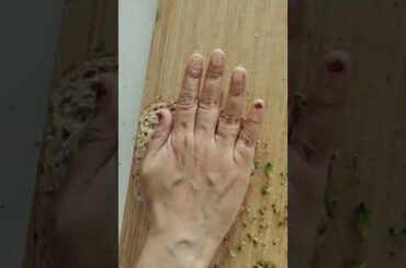 Green sandwich | Healthy sandwich | capsicum broccoli sandwich | Tiffin recipes