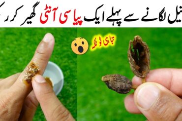 Black Cardamom + Mace + Cooking Oil Recipe By Mrdesi | So Tasty and Healthy Recipe