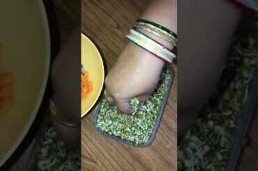 Weight Loss Sprout Salad ! How to Sprout Moong Dal in Winter!#weightlosssalad #youtubeshorts #shorts