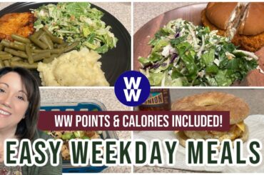 Spicy McChicken  | Easy Weekday Meals| WW Points/Calories | Journey to Healthy