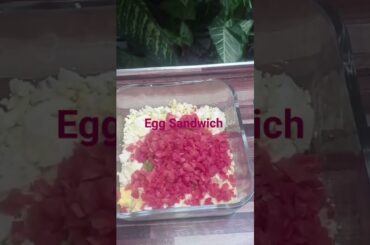 Egg Sandwich #shorts #high protein egg sandwich,so creamy healthy breakfast recipes
