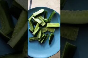 Day 6 - weight Loss journey #shorts #weightloss #day6 #dietplan