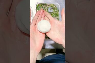 Is This The End of the Road For Best salad recipe ? #cooking #shorts