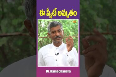 Healthy Natural Sweet Recipes | Sugar Free Laddu | Dr Ramachandra Health Tips | Hi TV Health