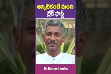 Delicious High Protein Breakfast | Highly Nutritious Seeds | Dr Ramachandra Health Tips