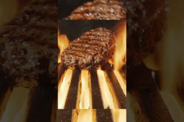 Carnivore Doctor Diet #shorts