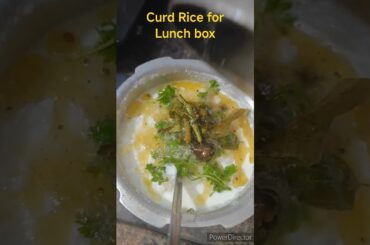 Curd Rice for Lunch box#healthy#shorts#tamil@ascookingdesire7660 #home#food #recipes#1500 #subs