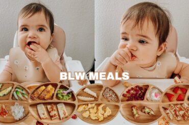 Easy Baby Led Weaning Meals | My Baby's Favorite Foods For Breakfast, Lunch & Dinner
