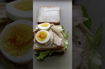 Protein Packed Club Sandwich | Super Healthy & Nutritious | #shorts #ytshorts #sandwich #viral #easy