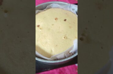 Shimom's healthy food. Sponge cake.