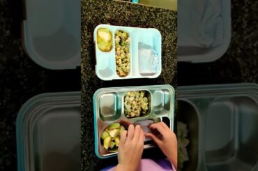 Desi Lunch Box Ideas for Indian Kids #shorts #ashortaday #lunchbox #lunchideas #lunchboxrecipe