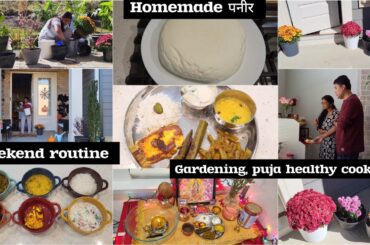 Full Day Durga Puja Saptami Vlog | Cooking Healthy Dinner, Gardening | Indian in the USA