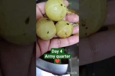 #day4 Easy and healthy dinner #dinner#armyquaterlife