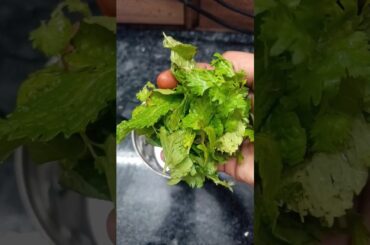 Pudina Rice#Lunch Box# Recipe# Healthy#tasty#shezha#shorts.