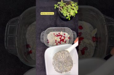 Chia Pudding | Healthy Breakfast | Chia Seeds | Recipes #chiaseeds #healthybreakfast #recipe