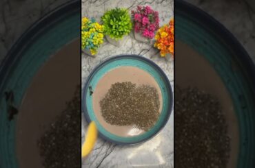 Chocolate ChiaPudding RecipeEasy & healthy breakfast recipes#trending#chiaseeds#youtubeshorts#shorts