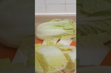 Slicing Napa cabbage for dinner #asmr #shorts #viral #vegetables
