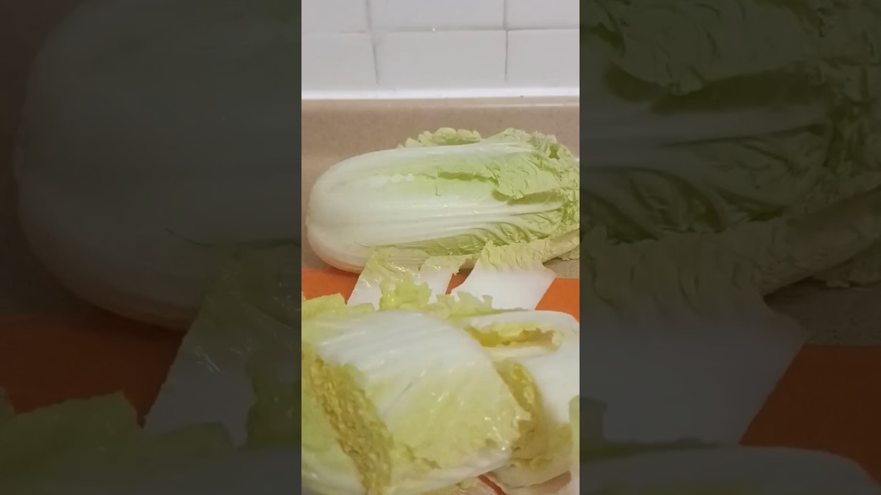 Slicing Napa cabbage for dinner #asmr #shorts #viral #vegetables Slicing Napa cabbage for dinner #asmr #shorts #viral #vegetables