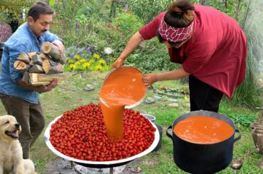 Harvesting Rosehip from Mountain | Super Healthy Syrup Recipe