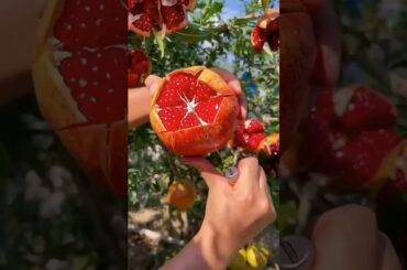 The Best Fruits for Your Health