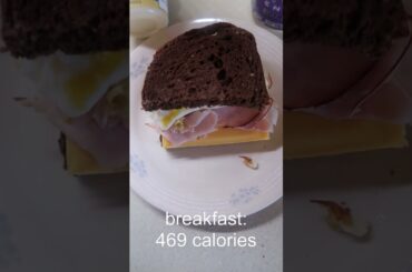 What I Eat in a Day While Trying to Lose Weight #shorts