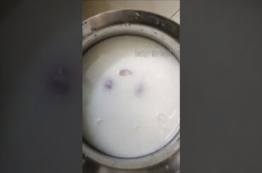 palaya soru special vlog|morning healthy breakfast recipes|palaya sorru chinna vengayam|#shorts