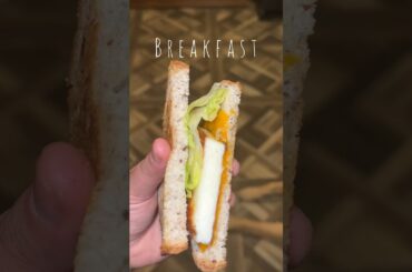 Healthy Breakfast Sandwich #healthybreakfast #breakfastideas #whatieatinaday #shorts