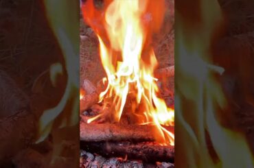 Outdoor dinner Simple healthy dish on the fire #shorts