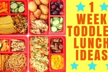 TODDLER LUNCH IDEAS 2017 | MEALS AND TIPS