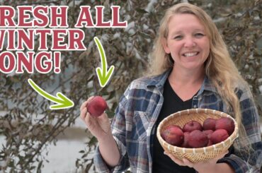 She keeps apples fresh all winter long using this simple method!