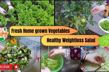 How To Make Green Vegetable Salad for Weightloss - Healthy Weightloss Diet - Mama's Cooking Hut