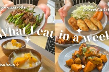 What I eat in a week | Easy Japanese dinner recipes | Healthy cooking