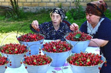 30 LBS OF CHERRIES! MAKING NATURAL HEALTHY CHERRY JUICE