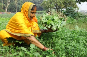 Sarson Saag Recipe With Traditional Swad | Healthy Recipes | Bajra Bhat | Winter Special Pear