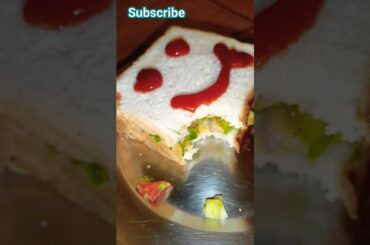 #shorts Super Healthy & Quick Sandwich Recipe (with lots of #vegetables) #youtubeshorts #shortsvideo