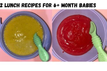Baby Food Recipes for 6+ Month Baby | Lunch Recipes |  Healthy Recipes for Your Growing Baby