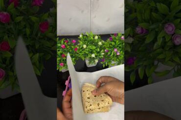 Easy healthy lunch box #shorts #ytshorts #lunchboxpacking