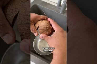 Easiest Hack to Open Coconuts