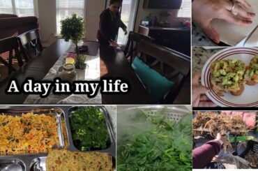 Productive Day In My Life| Cleaning, gardening| Healthy dinner recipe  and lot more