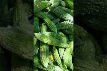 Pure Vegetarian Healthy Food Recipe  #villagecooking #ruralcuisine #food