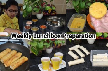 Kids Lunchbox prep|Weekly Lunchbox ideas|Easy Snacks recipe| Chicken Spring Roll|Aloo chicken Kabab